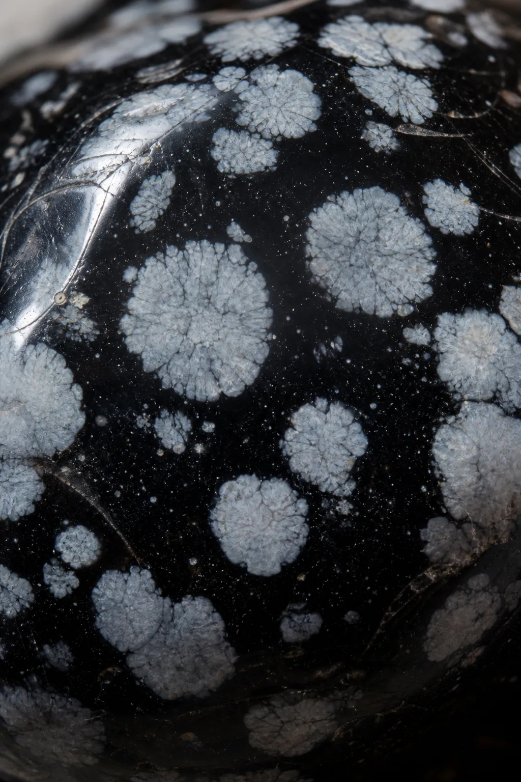 Snowflake obsidian with pale spherulitic markings inside a dark glassy host