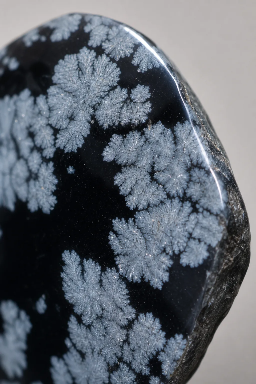 Snowflake obsidian with pale patches in a dark glassy matrix showing why local crystal-like features do not make the whole stone a crystal