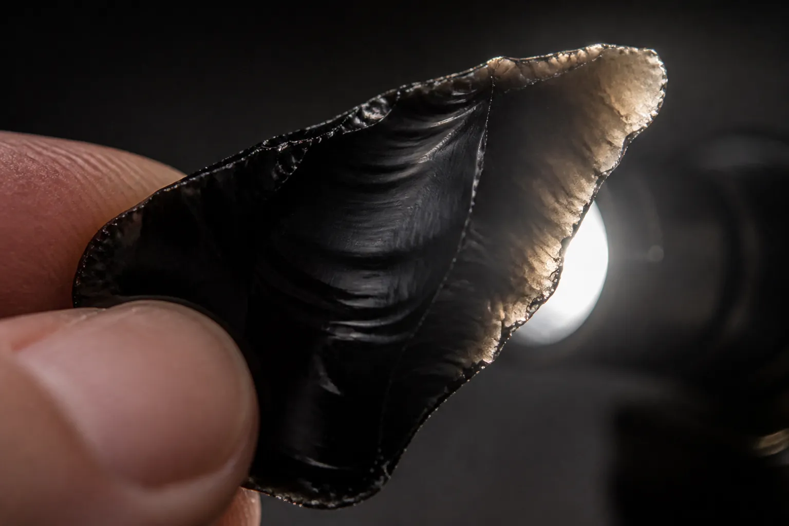 Black obsidian showing an opaque body with a smoky translucent thin edge under strong light