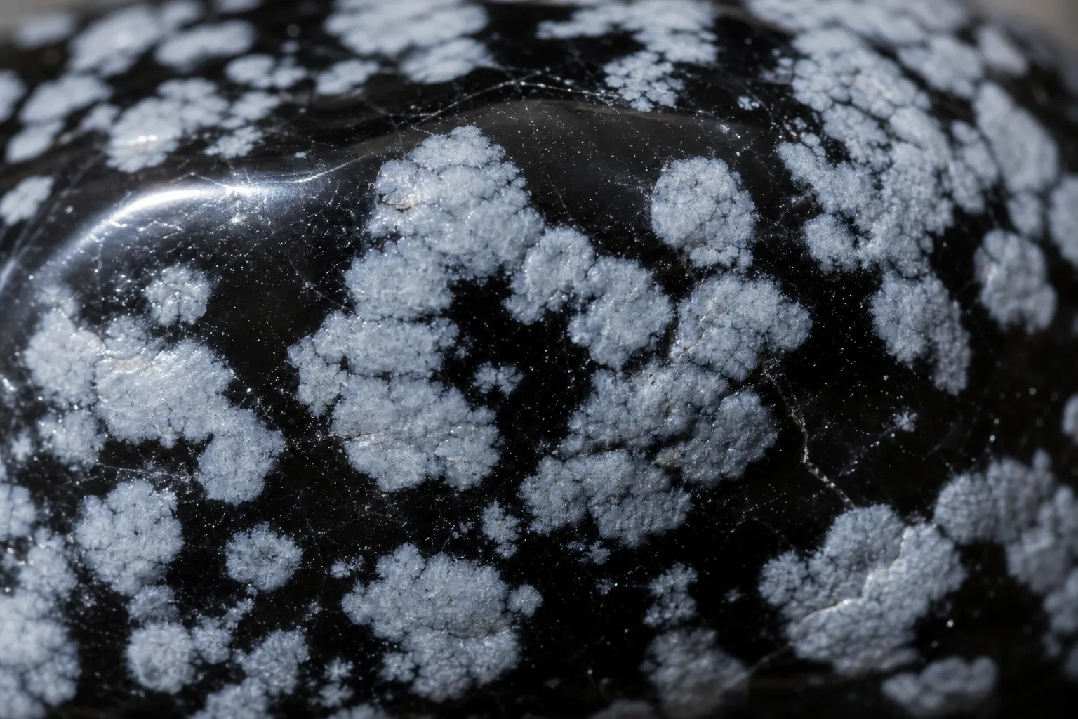 Close view of pale rosettes and irregular spots in black snowflake obsidian