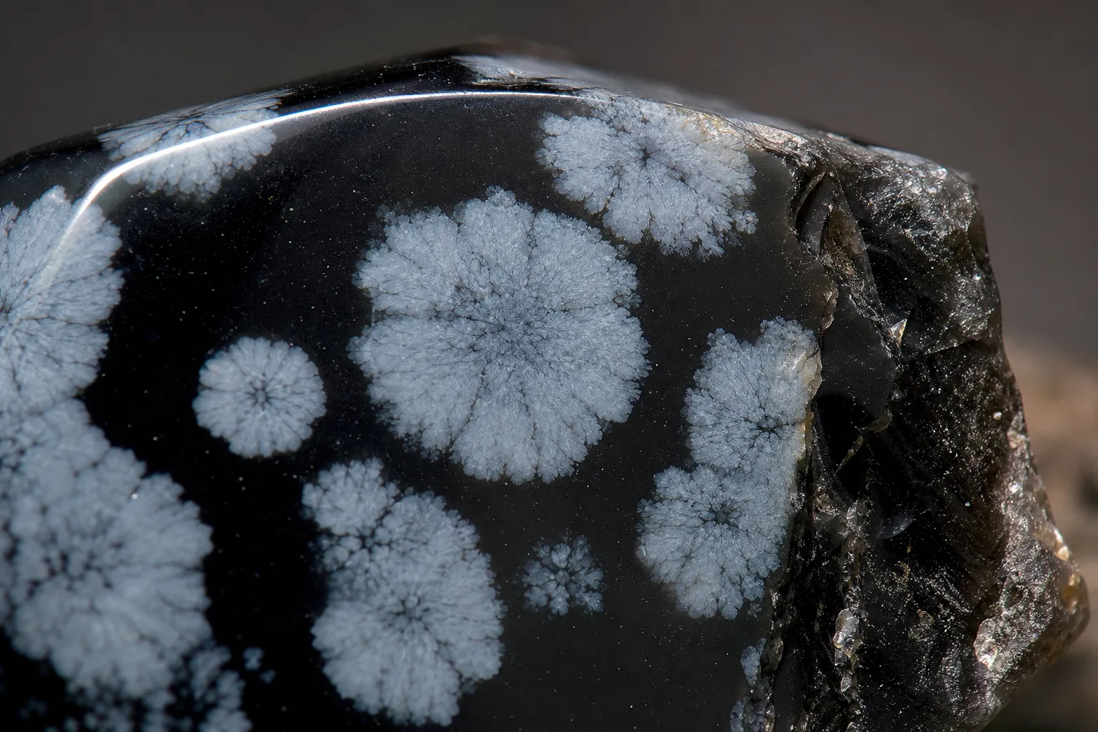 Snowflake obsidian with pale patterned spots in a dark glassy base