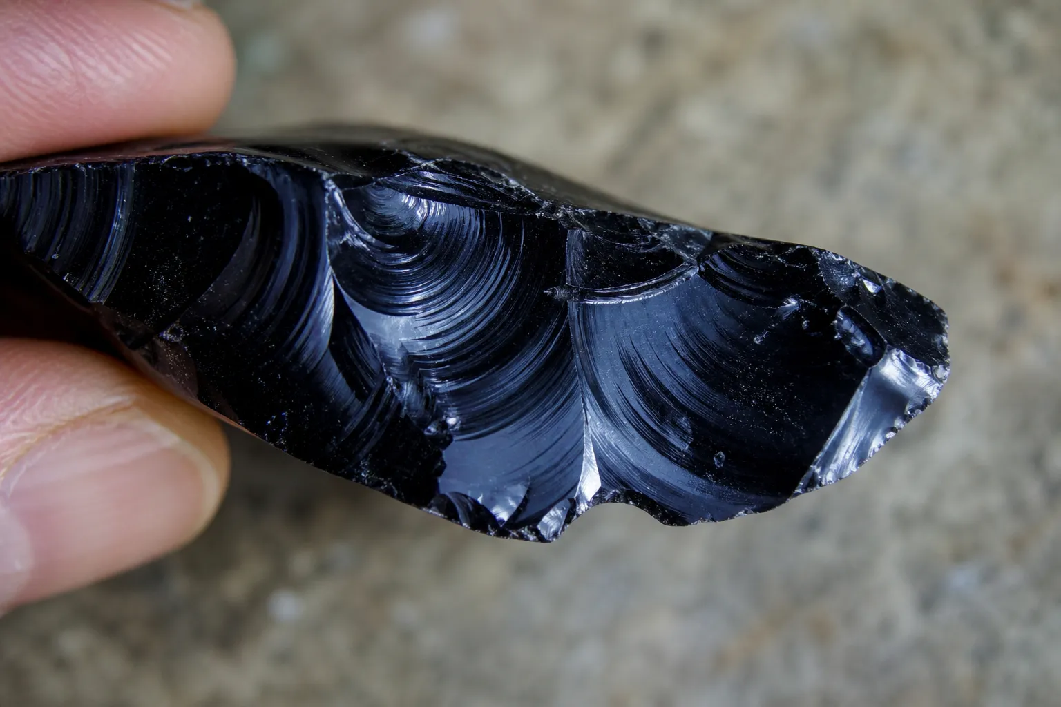 Chipped obsidian edge with curved shell-like fracture and glassy break surface